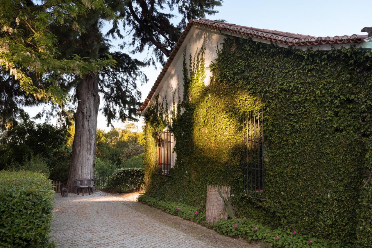 Imani Country House Évora Exterior foto